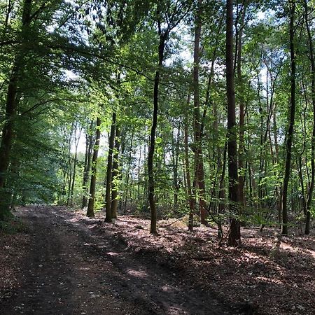 Huisjes Putten Reewold Chalet In Rustige En Mooie Omgeving Екстер'єр фото